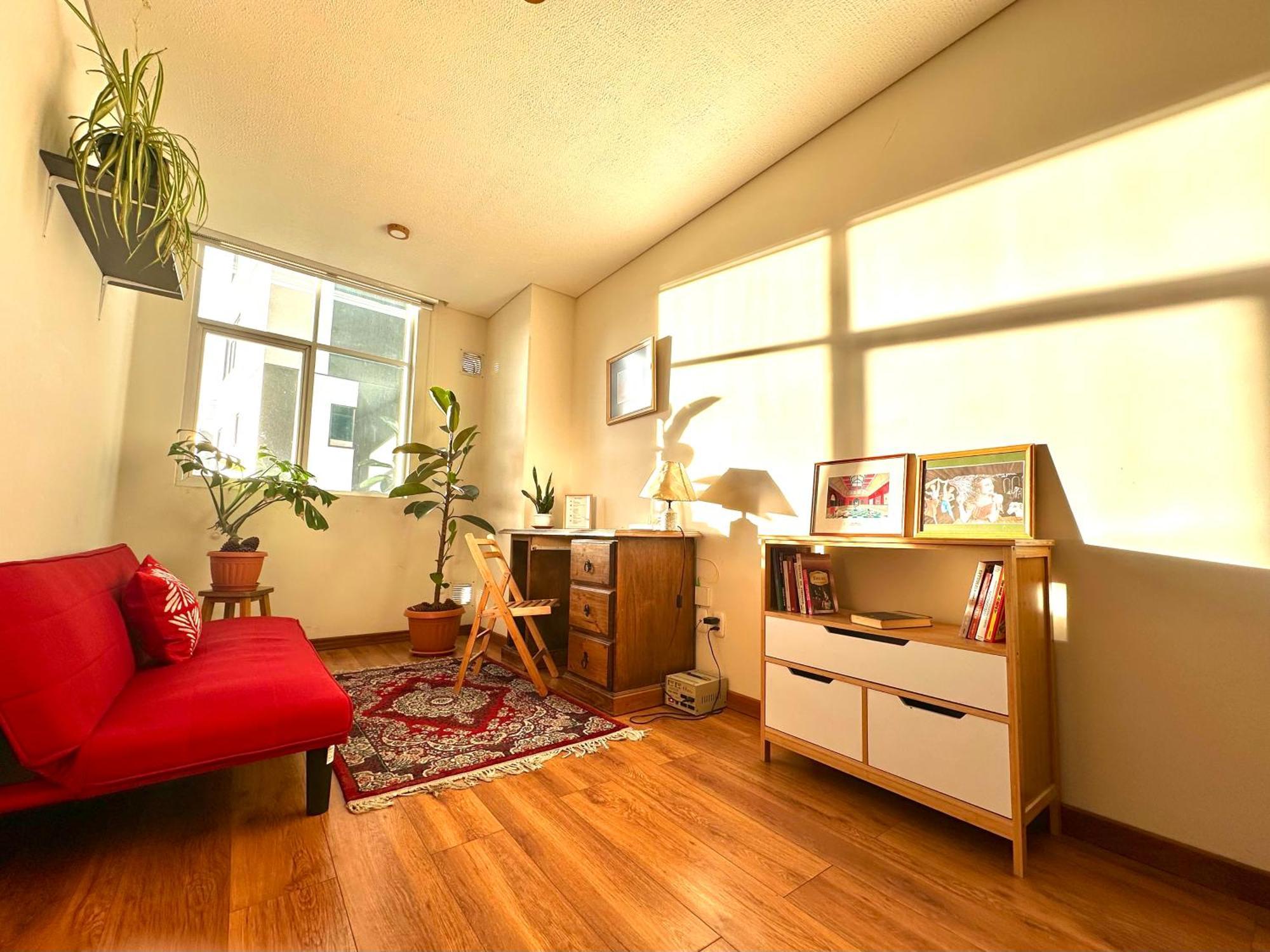 Apartamento Lujoso Y Soleado Departamento En Sopocachi